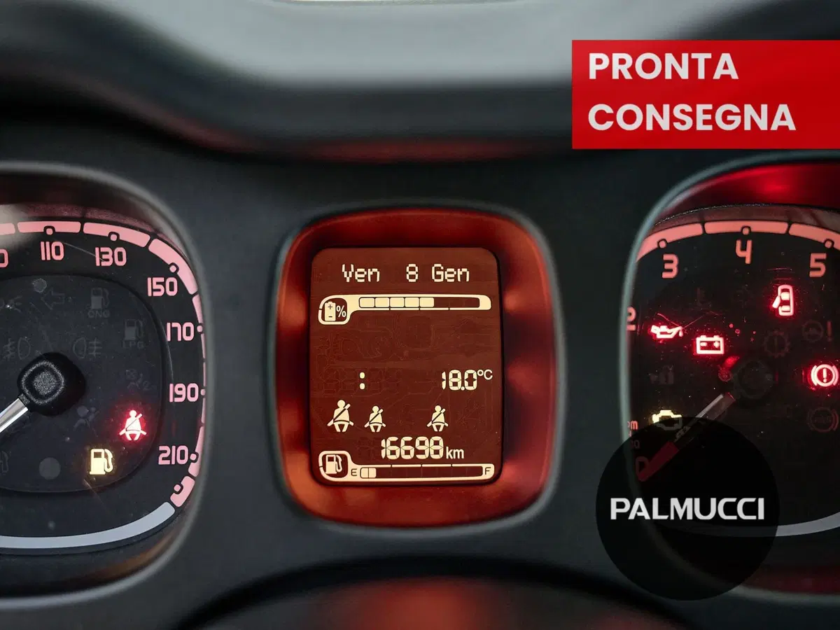 Fiat Panda Cross usata a Prato (9)