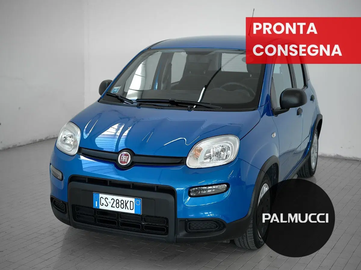 Fiat Panda Cross usata a Prato