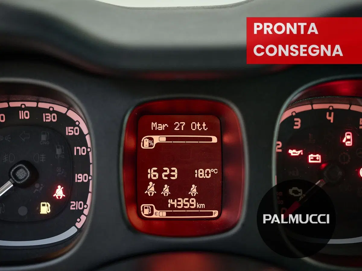 Fiat Panda Cross usata a Prato (10)
