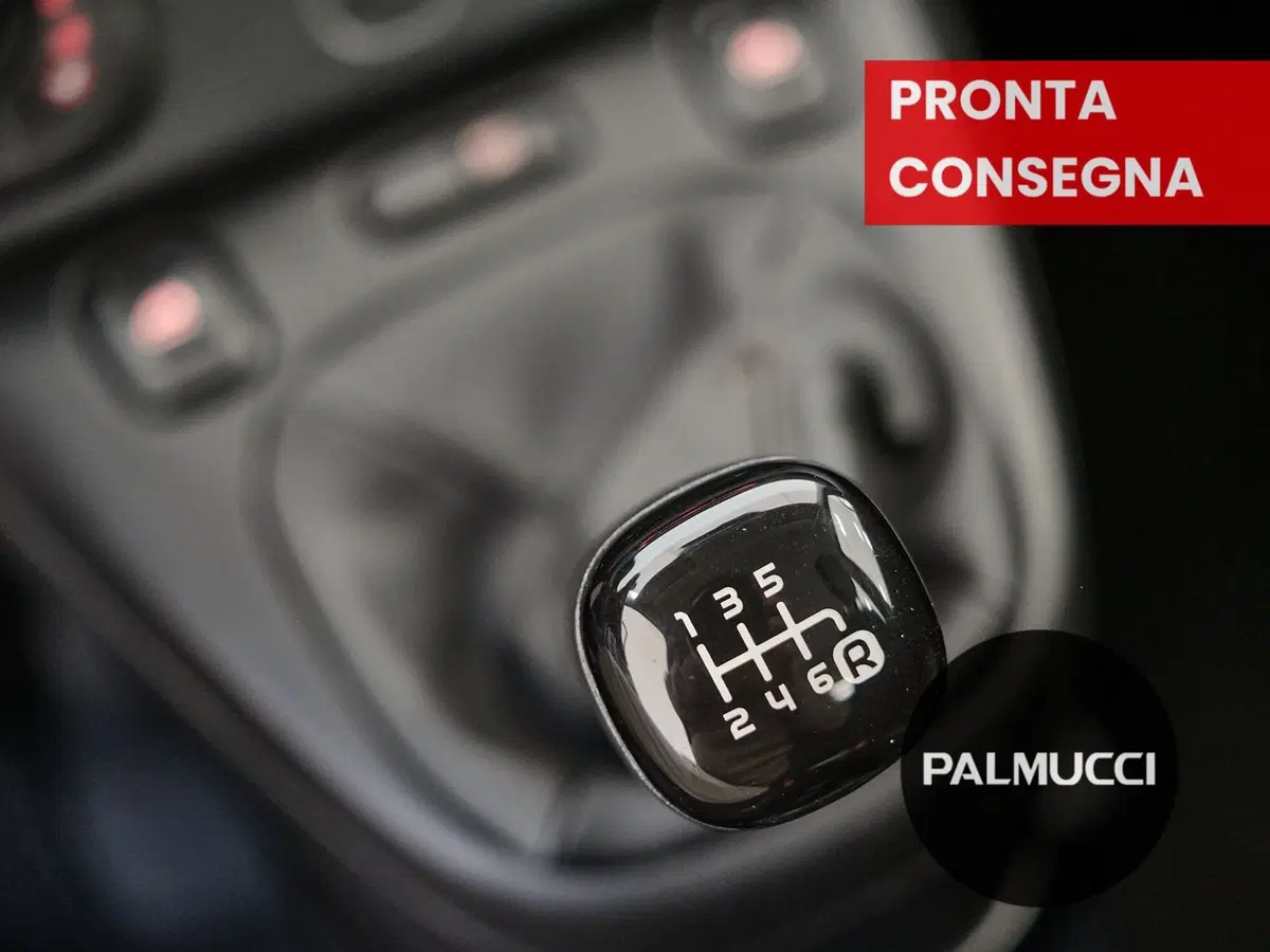 Fiat Panda Cross usata a Prato (12)