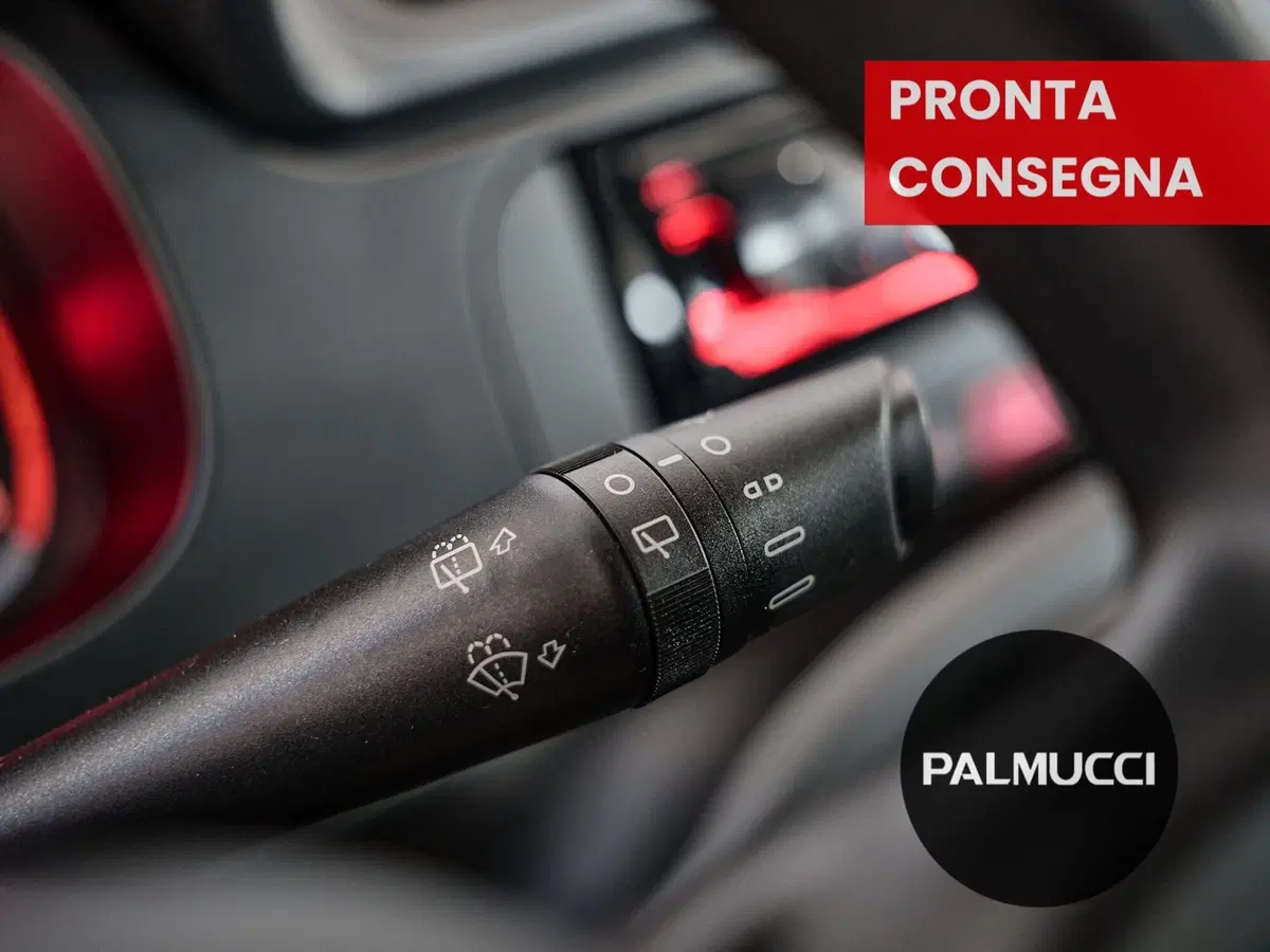 Fiat Panda Cross usata a Prato (14)