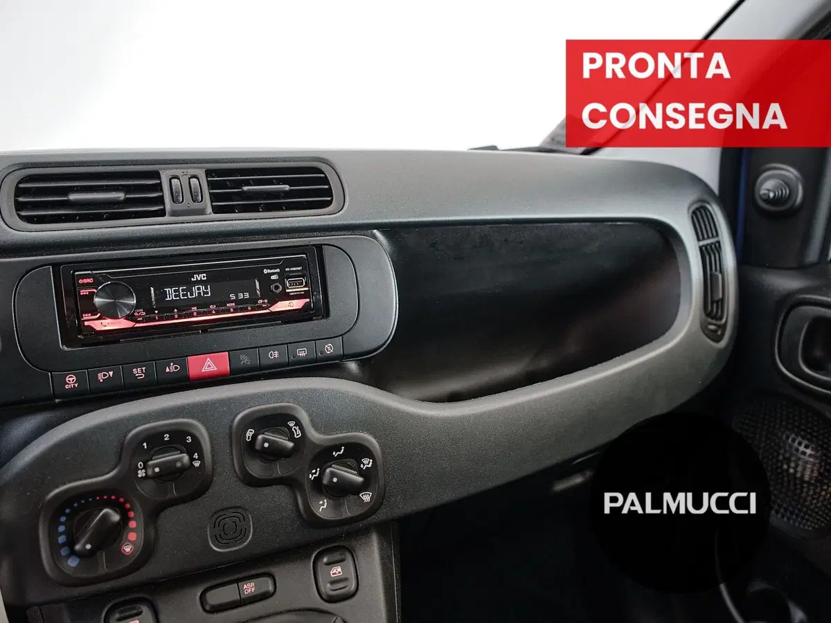 Fiat Panda Cross usata a Prato (16)