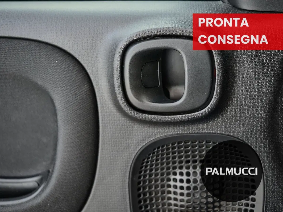 Fiat Panda Cross usata a Prato (19)