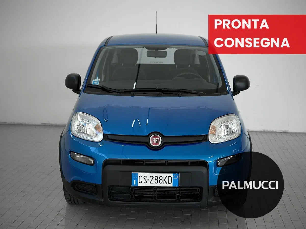 Fiat Panda Cross usata a Prato (2)