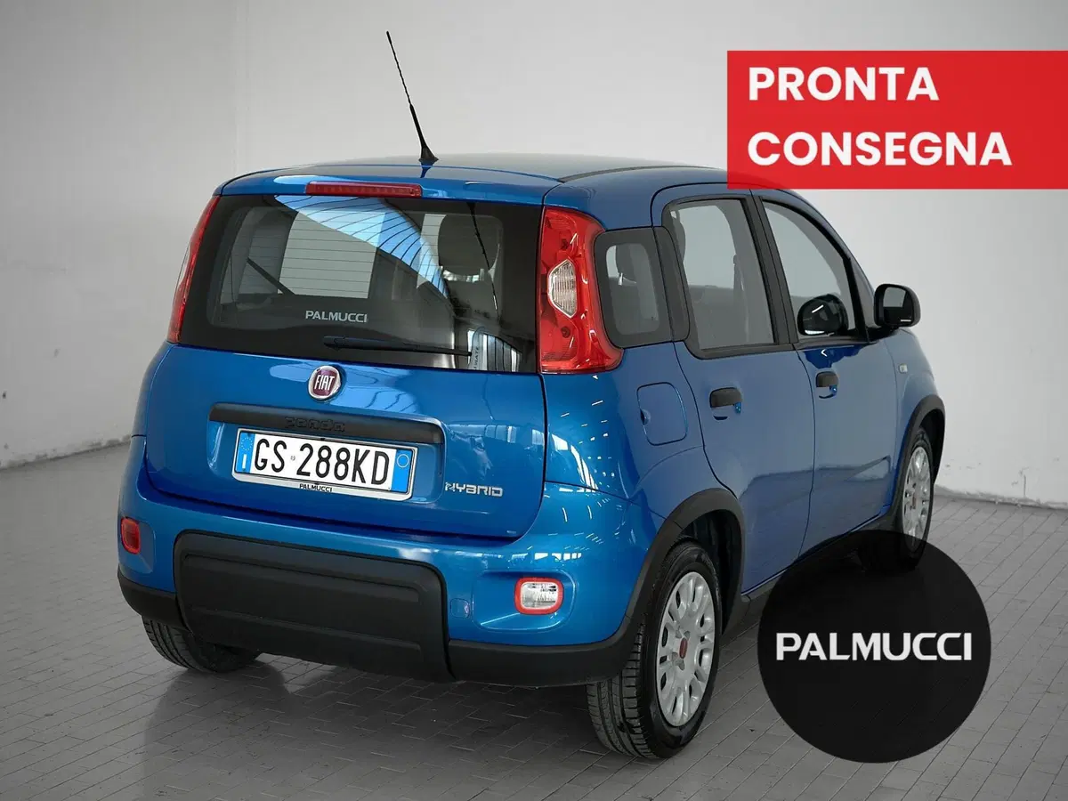 Fiat Panda Cross usata a Prato (3)