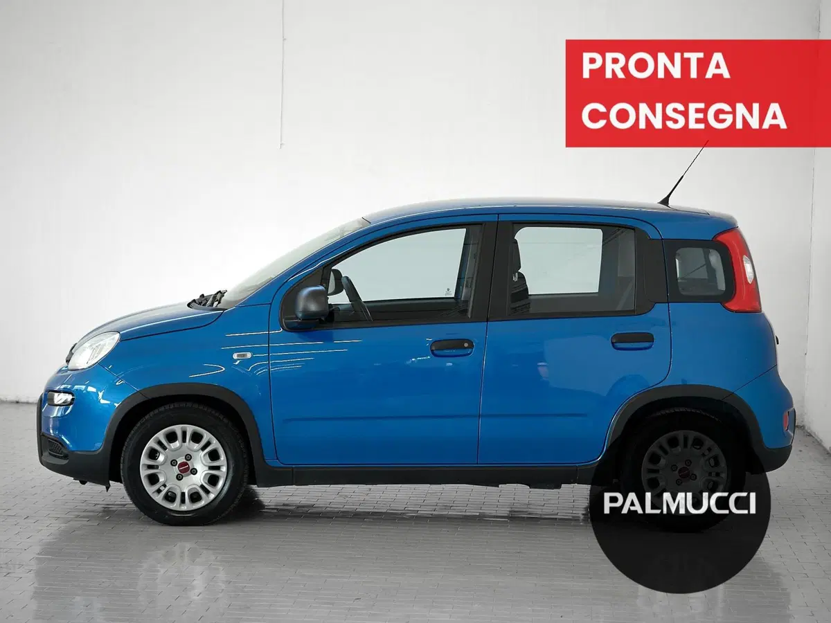 Fiat Panda Cross usata a Prato (4)
