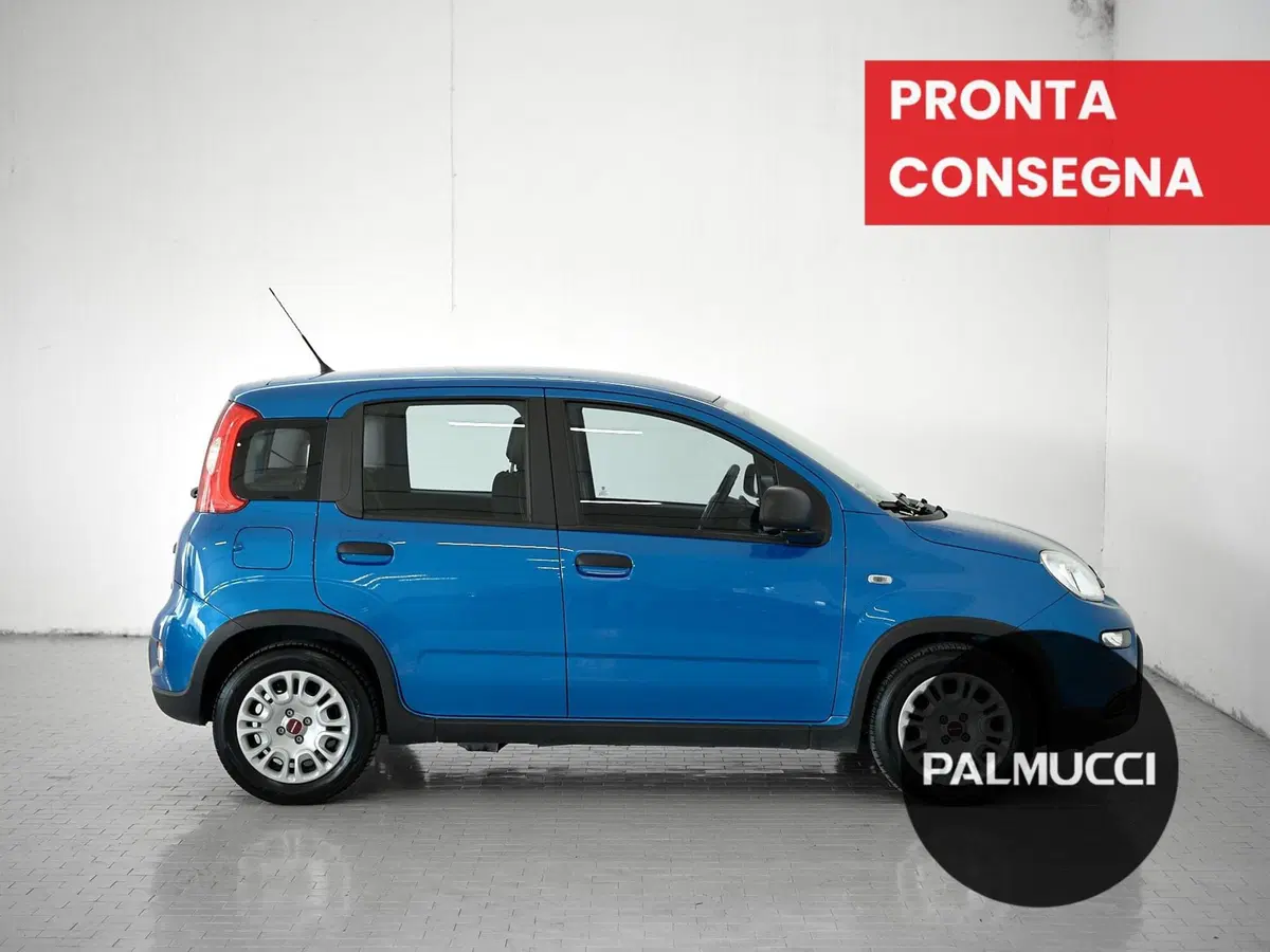 Fiat Panda Cross usata a Prato (5)