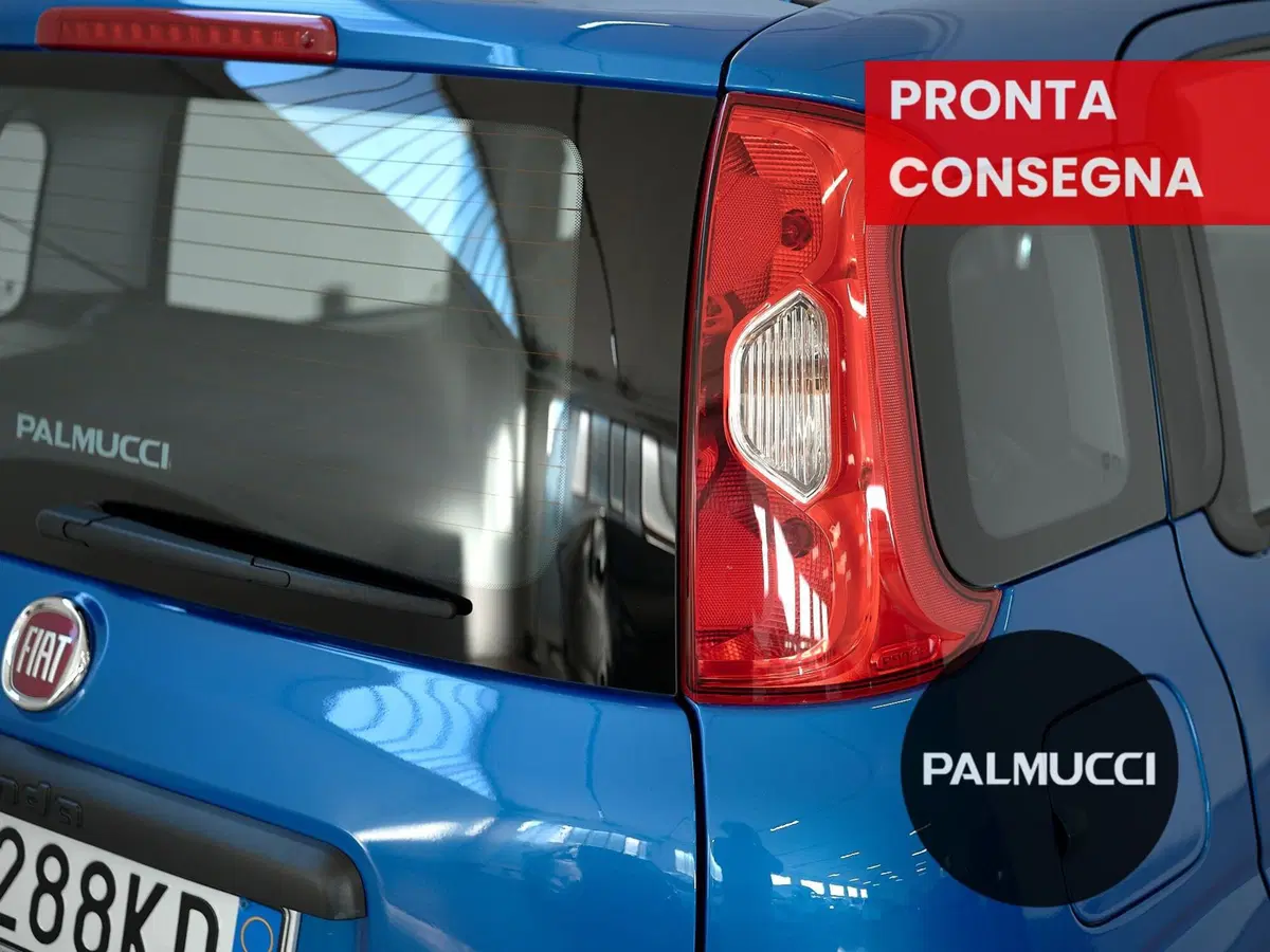 Fiat Panda Cross usata a Prato (7)