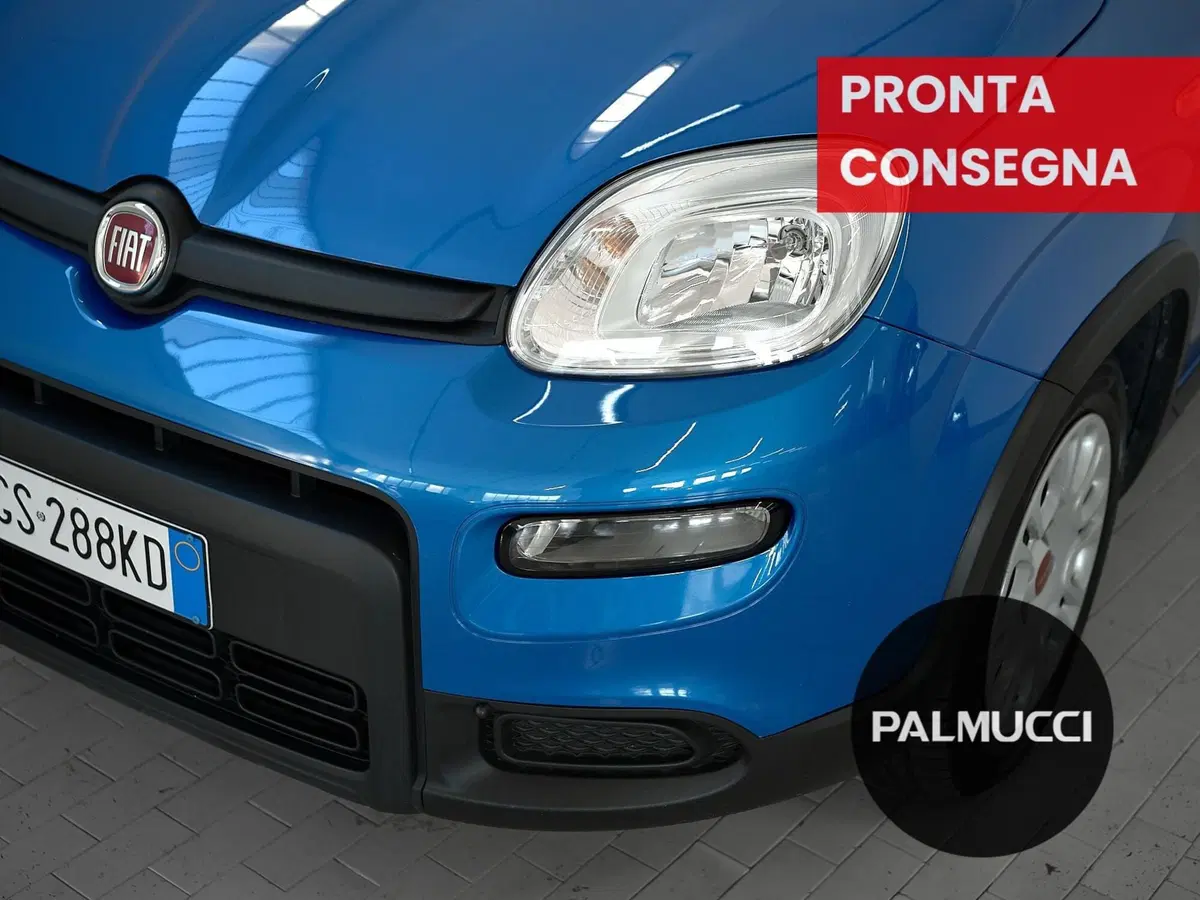 Fiat Panda Cross usata a Prato (8)