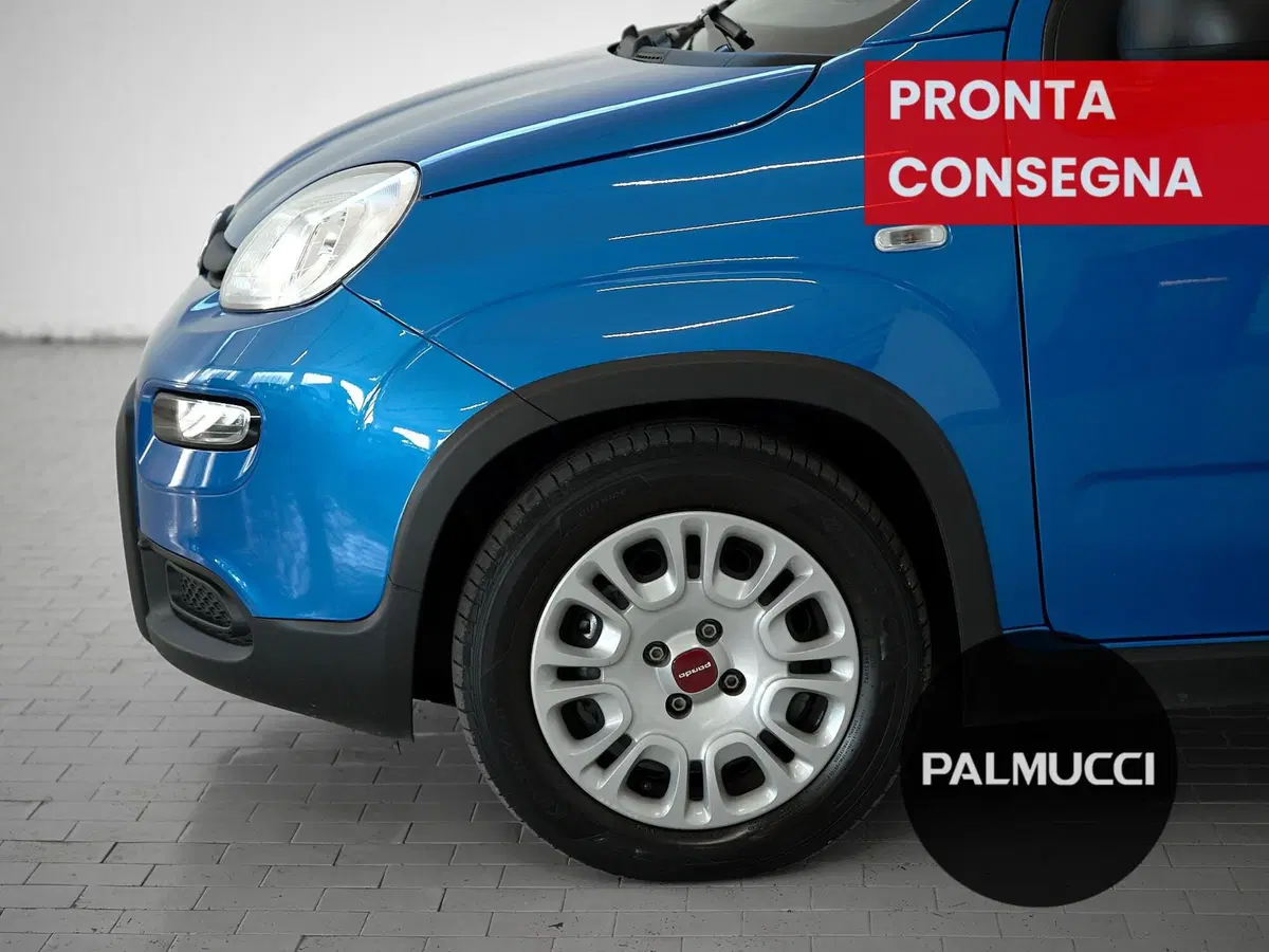 Fiat Panda Cross usata a Prato (9)