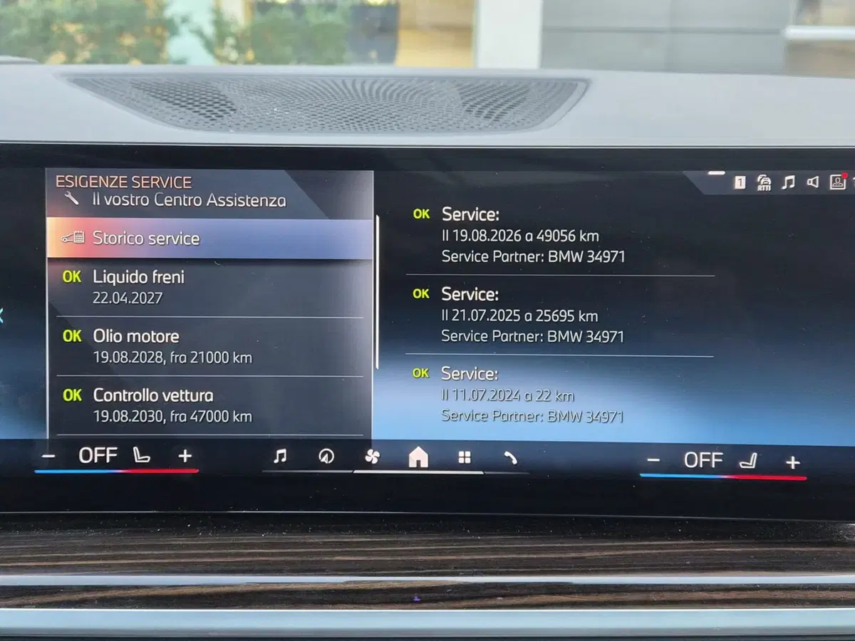 BMW X5 usata a Bergamo (10)