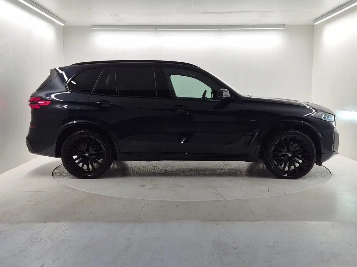 BMW X5 usata a Bergamo (6)