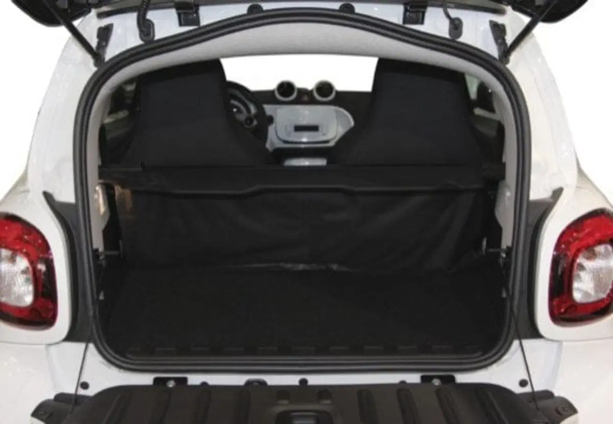 smart Fortwo usata a Palermo (10)