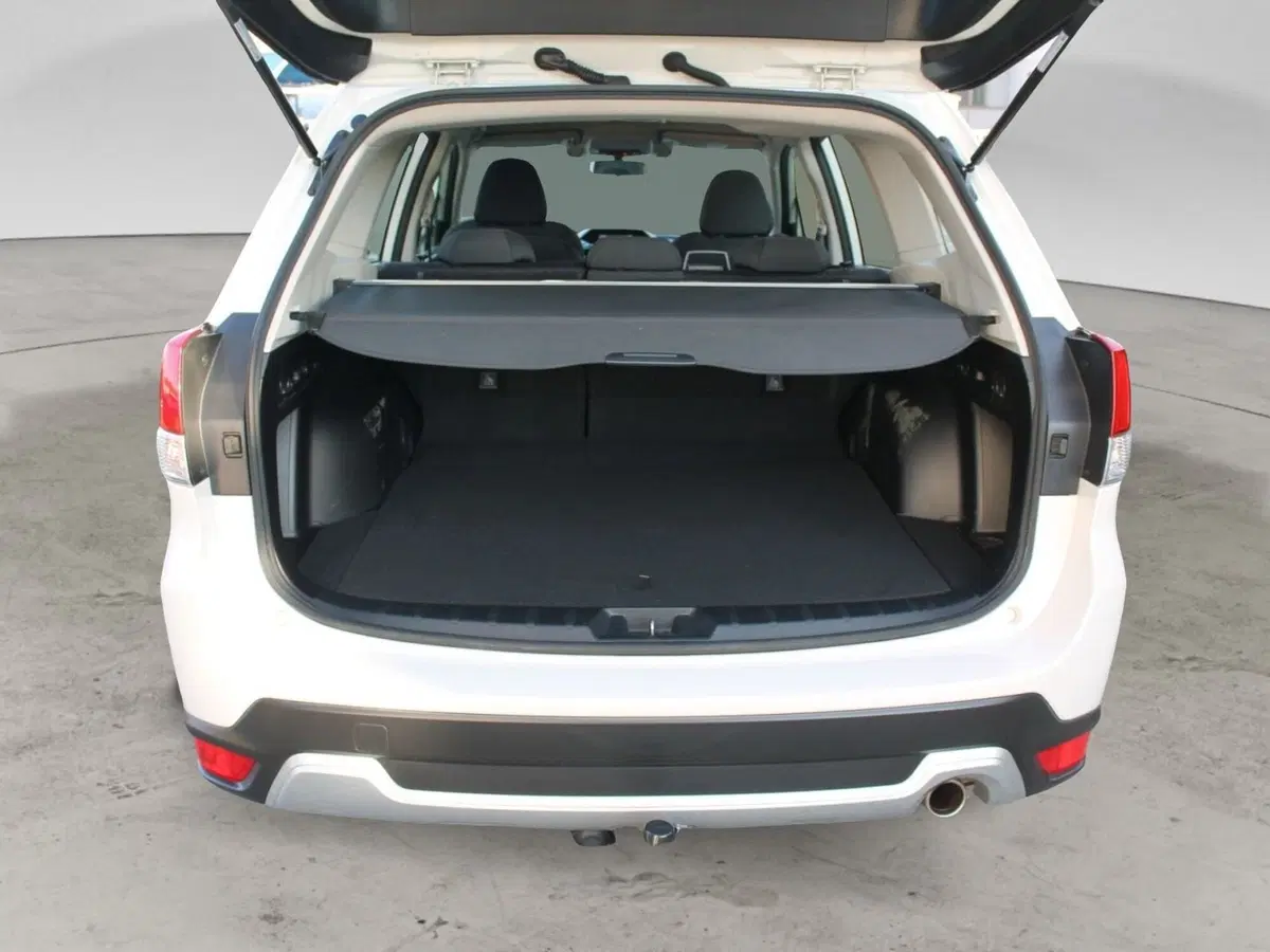 Subaru Forester usata a Cuneo (11)