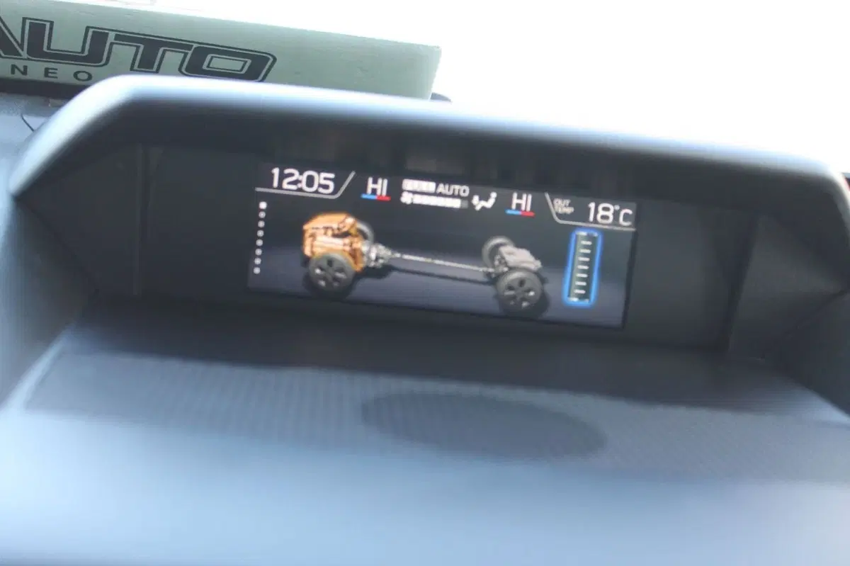 Subaru Forester usata a Cuneo (14)
