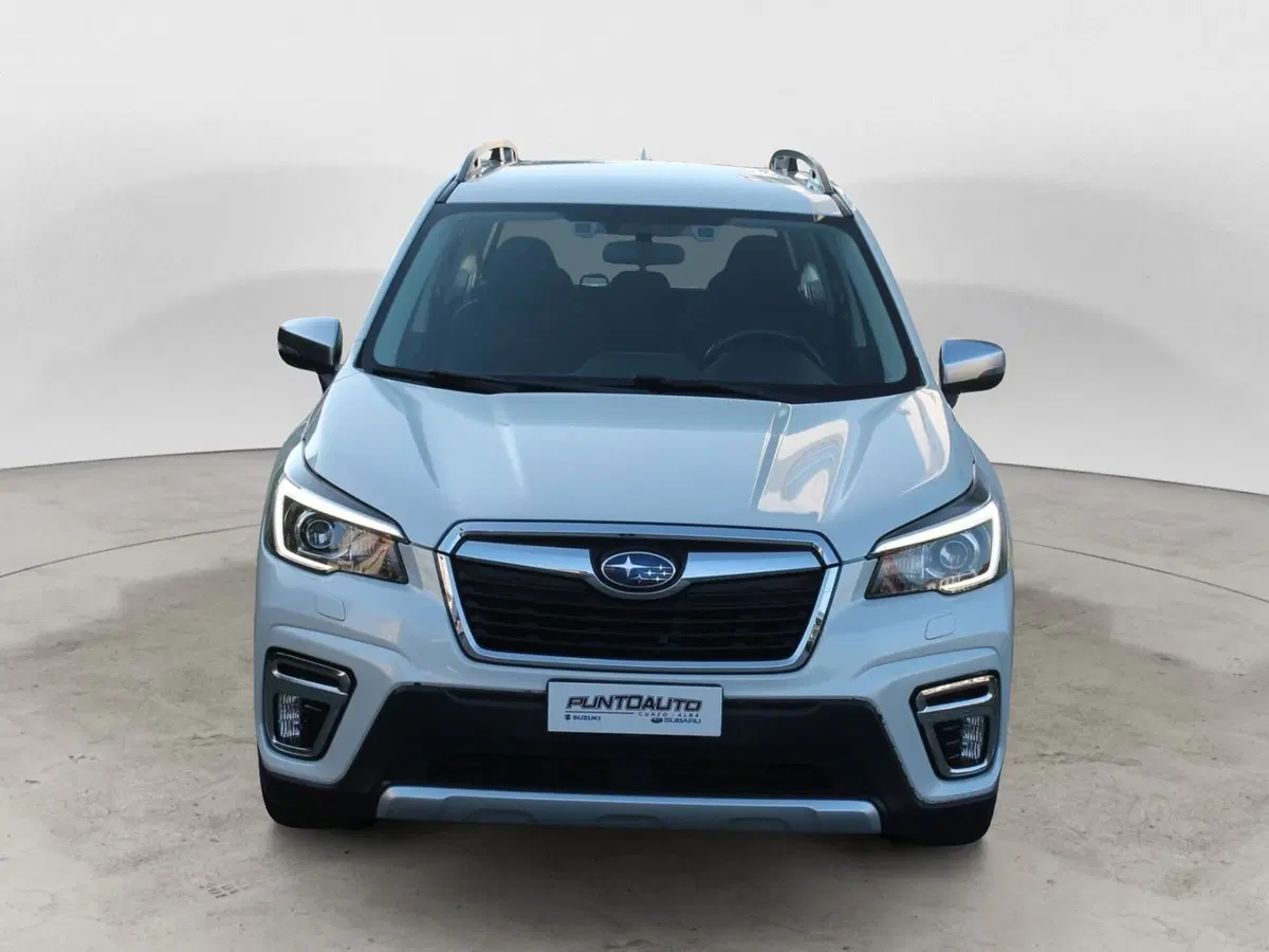 Subaru Forester usata a Cuneo (2)