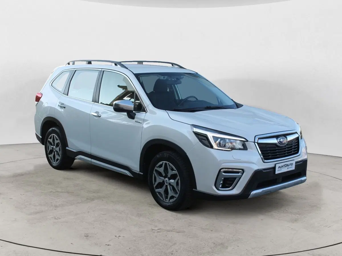 Subaru Forester usata a Cuneo (3)