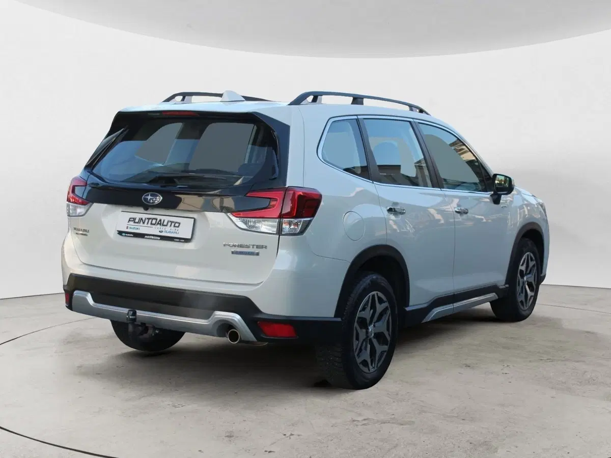 Subaru Forester usata a Cuneo (4)