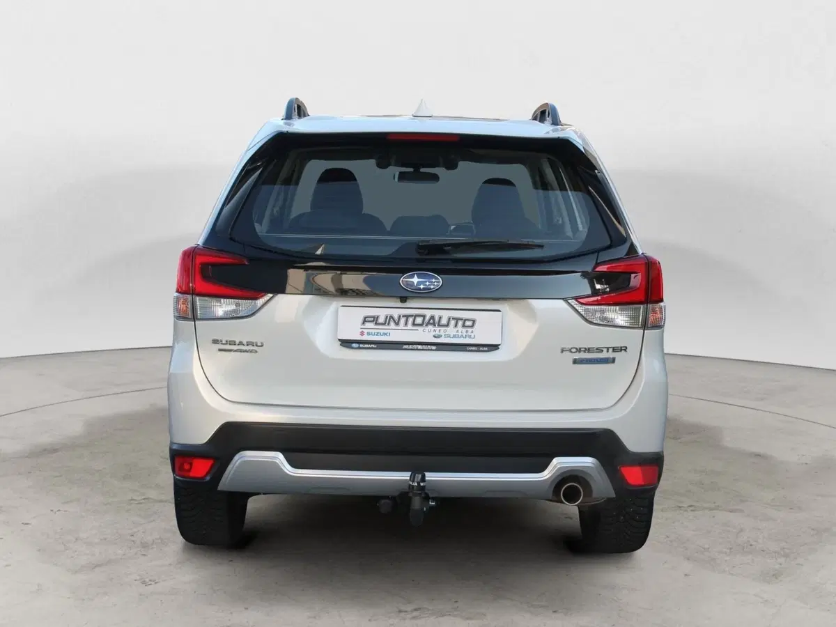 Subaru Forester usata a Cuneo (5)