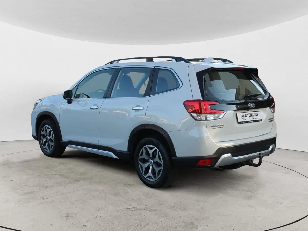 Subaru Forester usata a Cuneo (6)