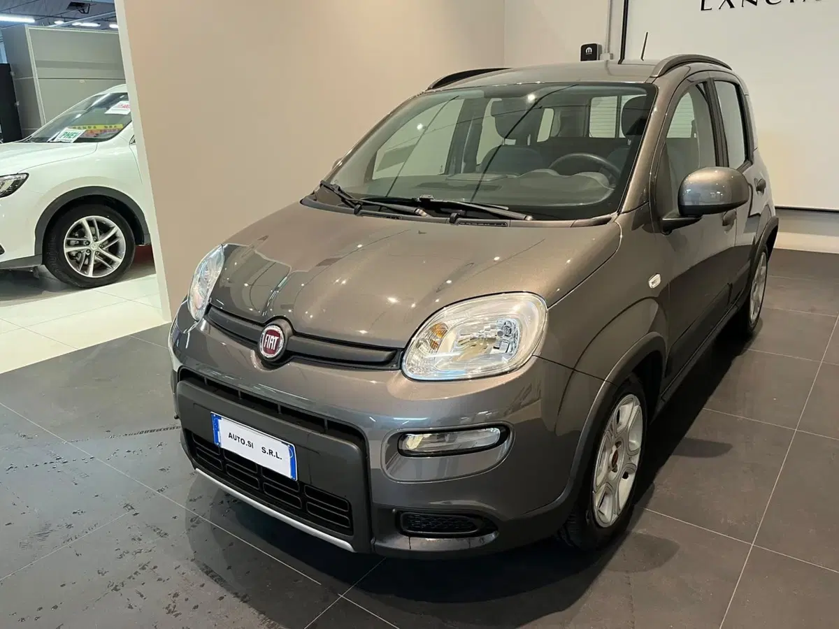 Fiat Panda Cross usata a Lucca