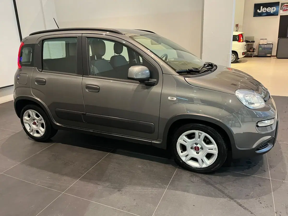 Fiat Panda Cross usata a Lucca (4)