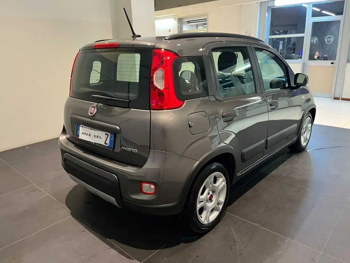 Fiat Panda Cross usata a Lucca (5)