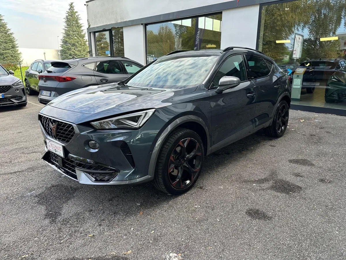 Cupra Formentor usata a Monza e Brianza (2)
