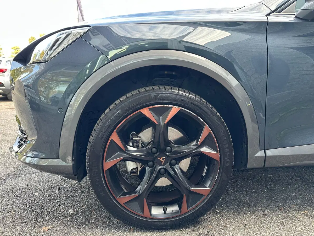 Cupra Formentor usata a Monza e Brianza (6)