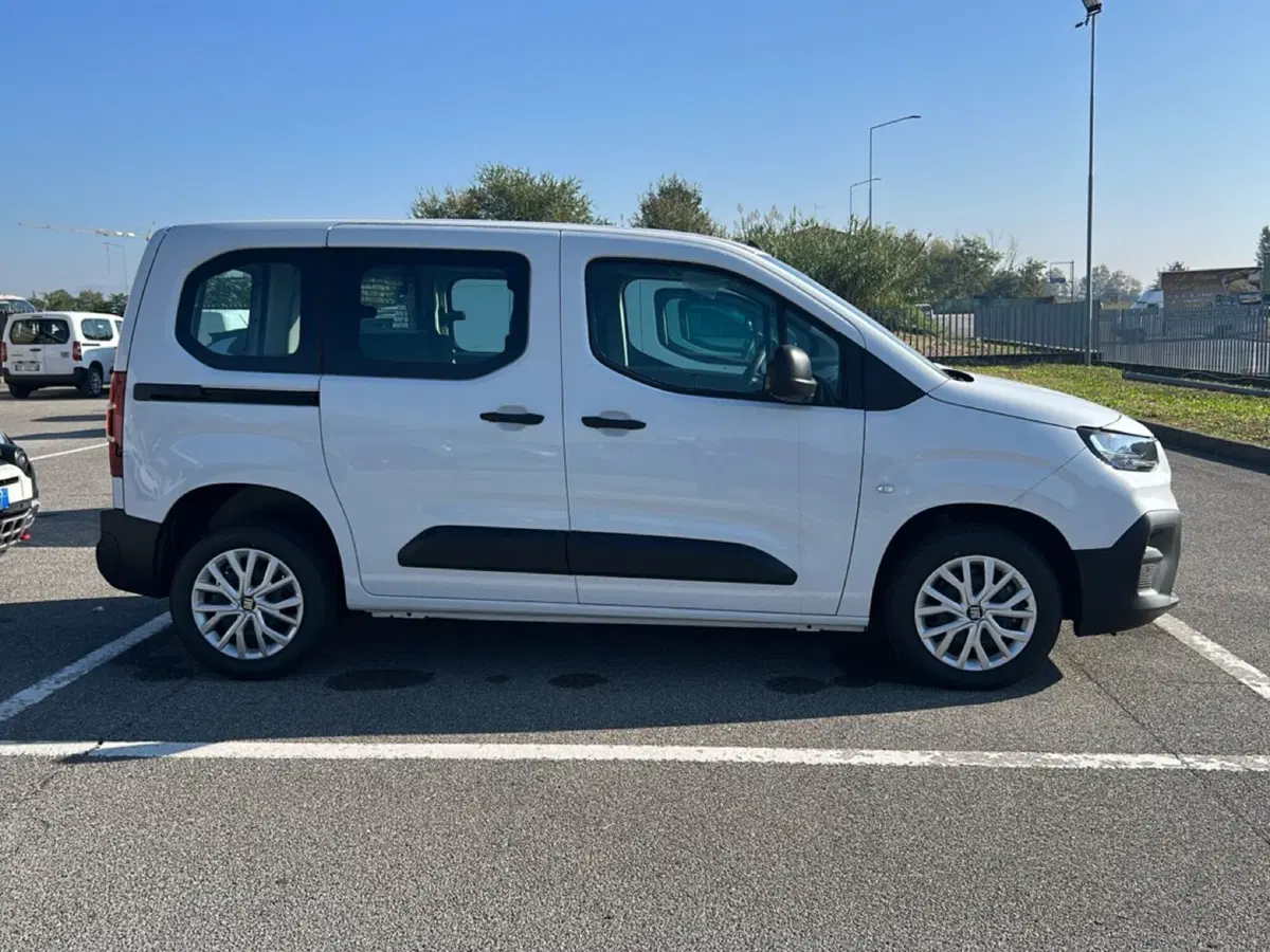 Fiat Doblò nuova a Bergamo (2)