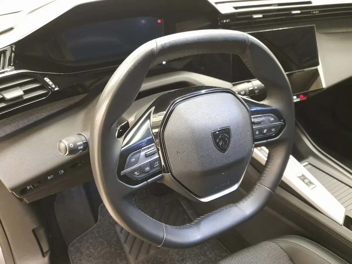 Peugeot 308 usata a Alessandria (12)