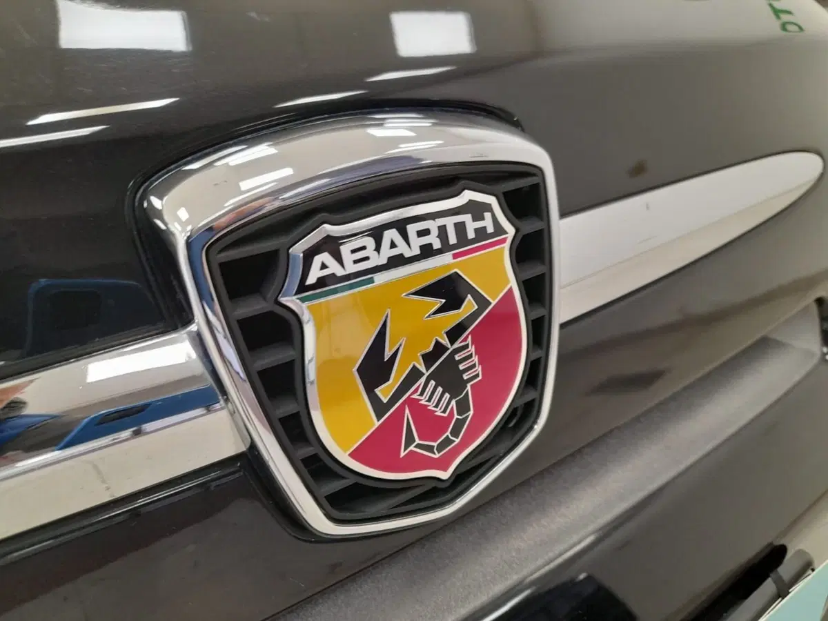 Abarth 500 usata a Alessandria (9)