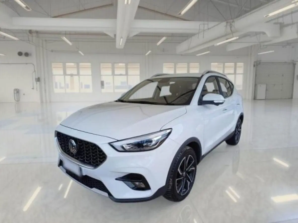 Mg ZS (2021-->) usata a Catania