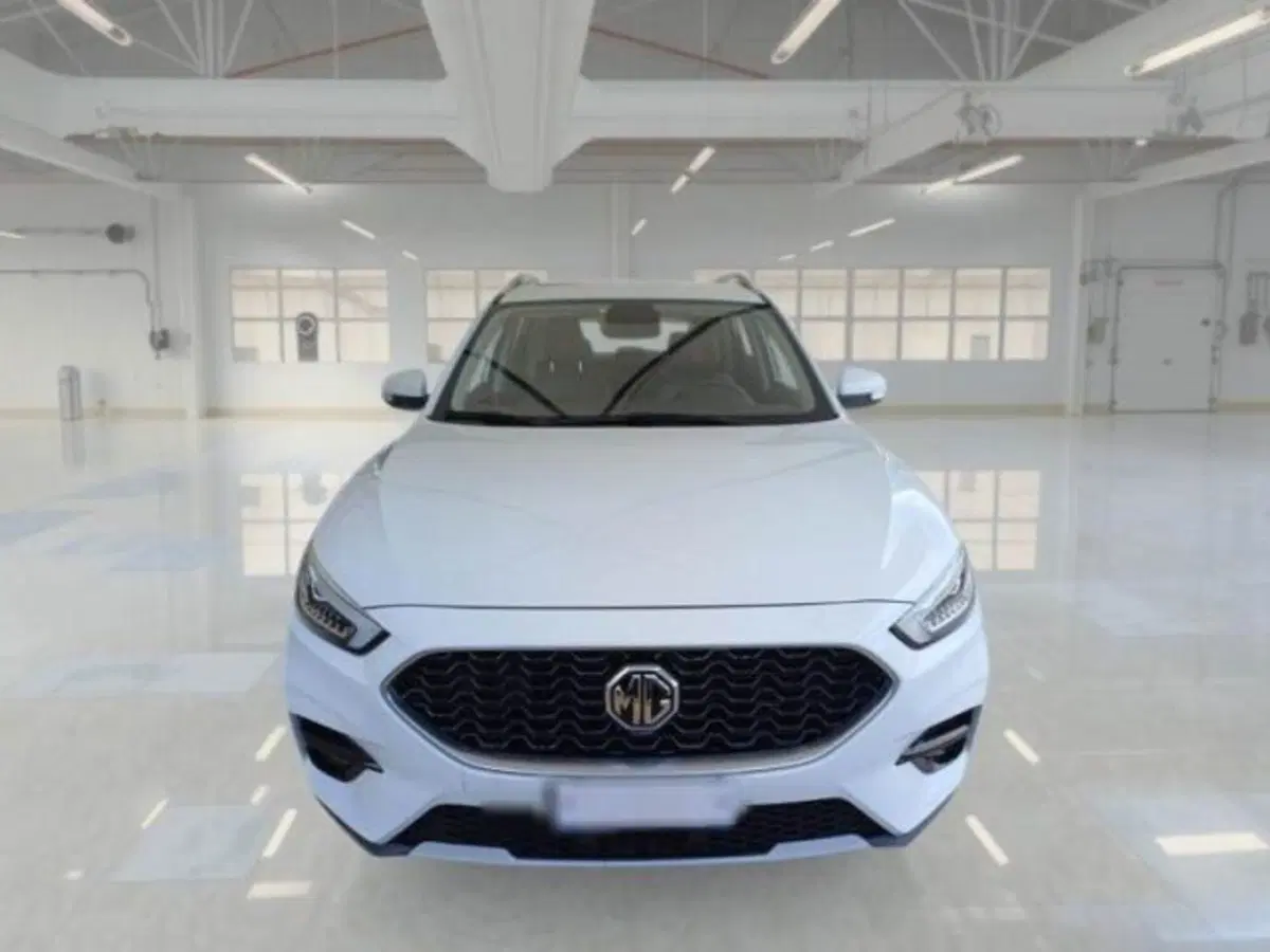 Mg ZS (2021-->) usata a Catania (3)