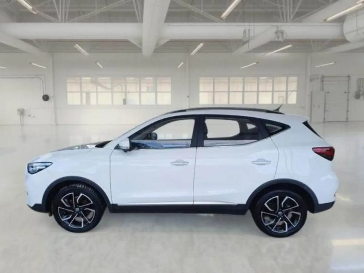Mg ZS (2021-->) usata a Catania (5)