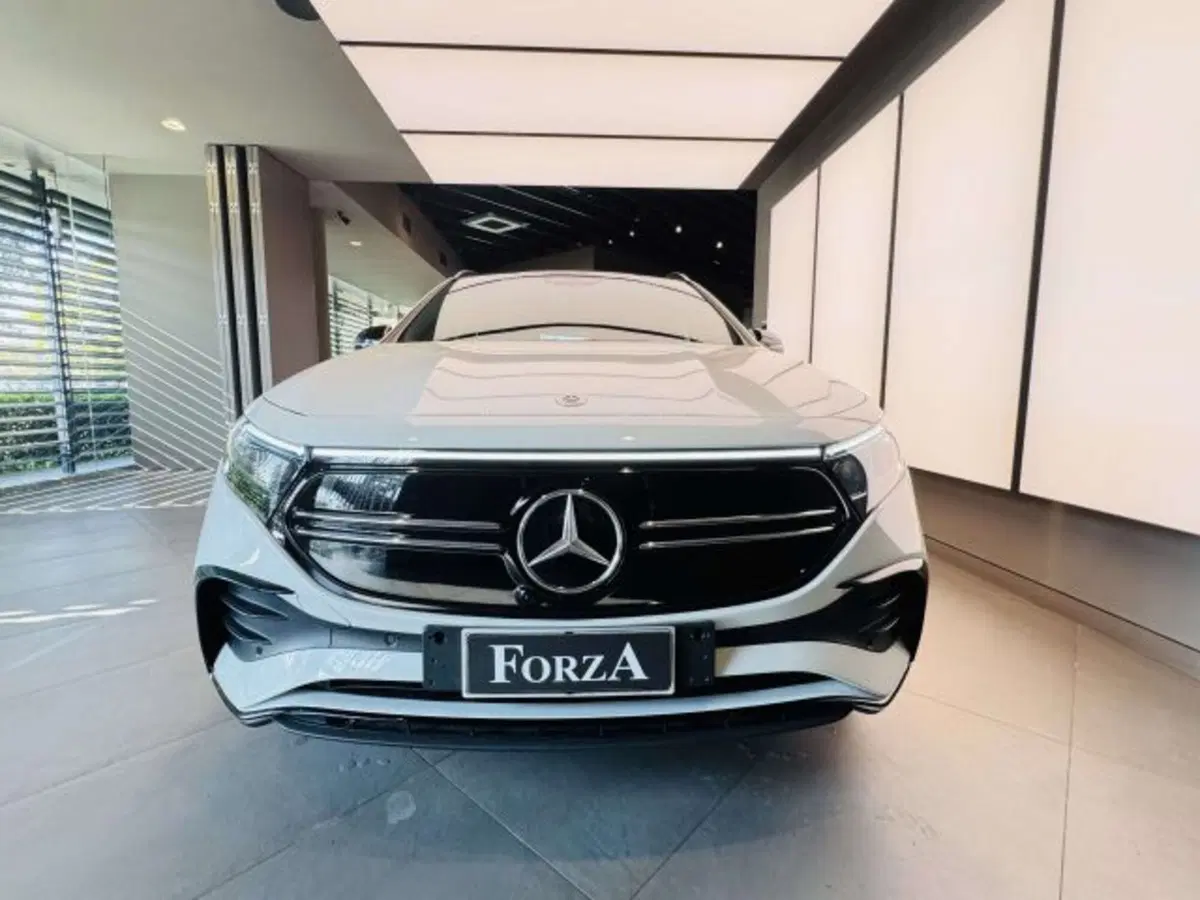 Mercedes-Benz EQA usata a Torino (2)
