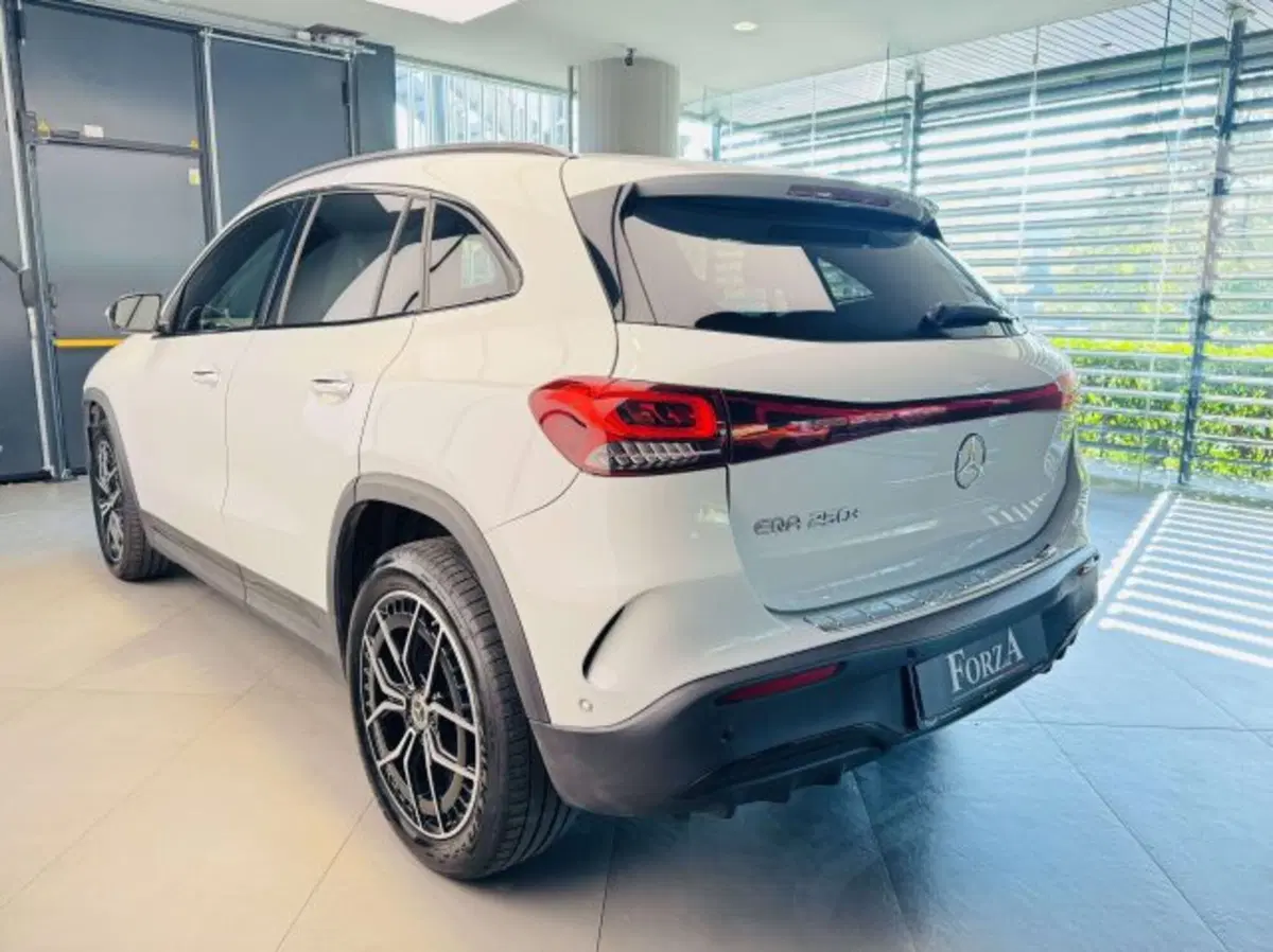 Mercedes-Benz EQA usata a Torino (6)