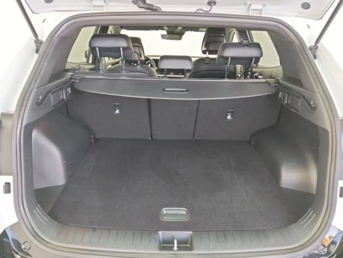 Kia Sportage usata a Como (19)