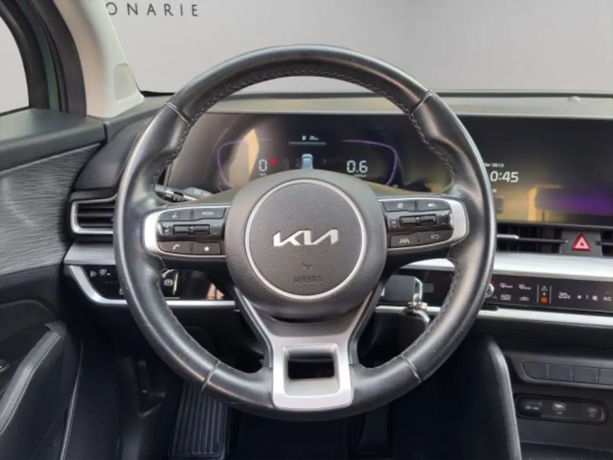 Kia Sportage usata a Perugia (12)