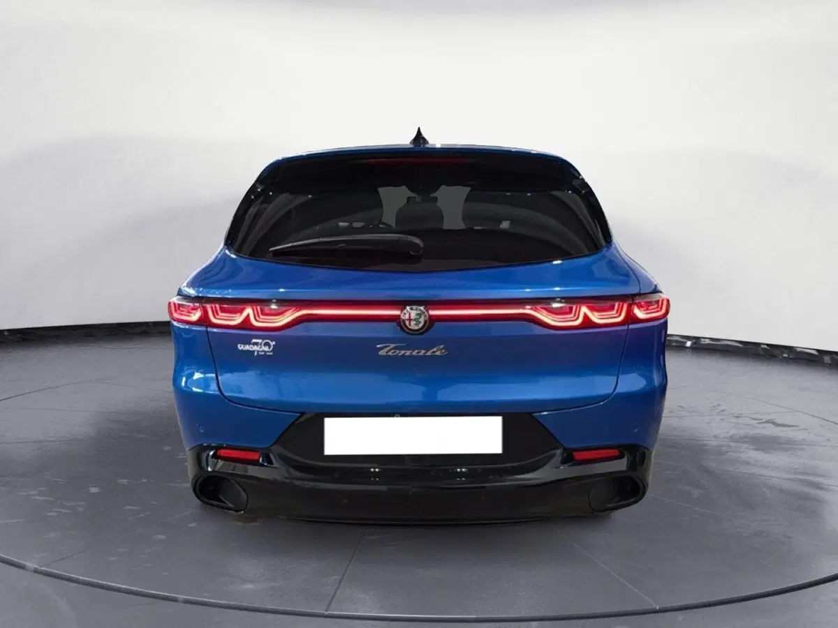 Alfa Romeo Tonale usata a Agrigento (4)