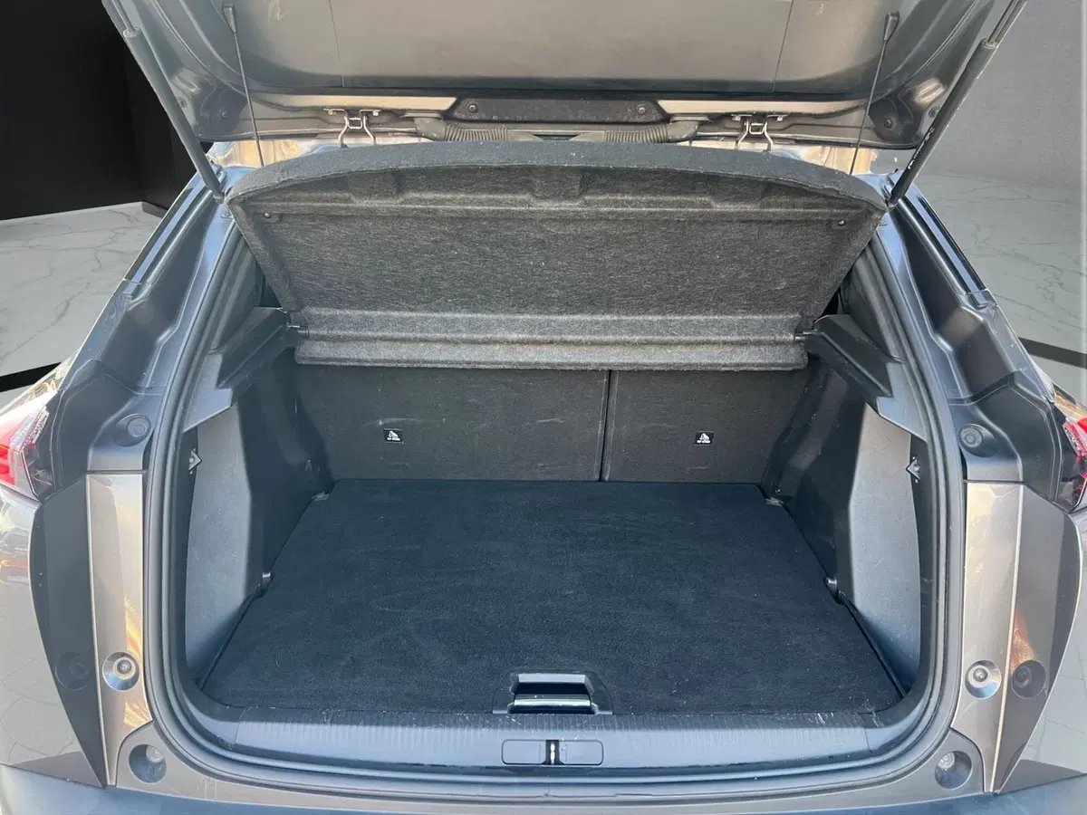 Peugeot 2008 usata a Cosenza (20)