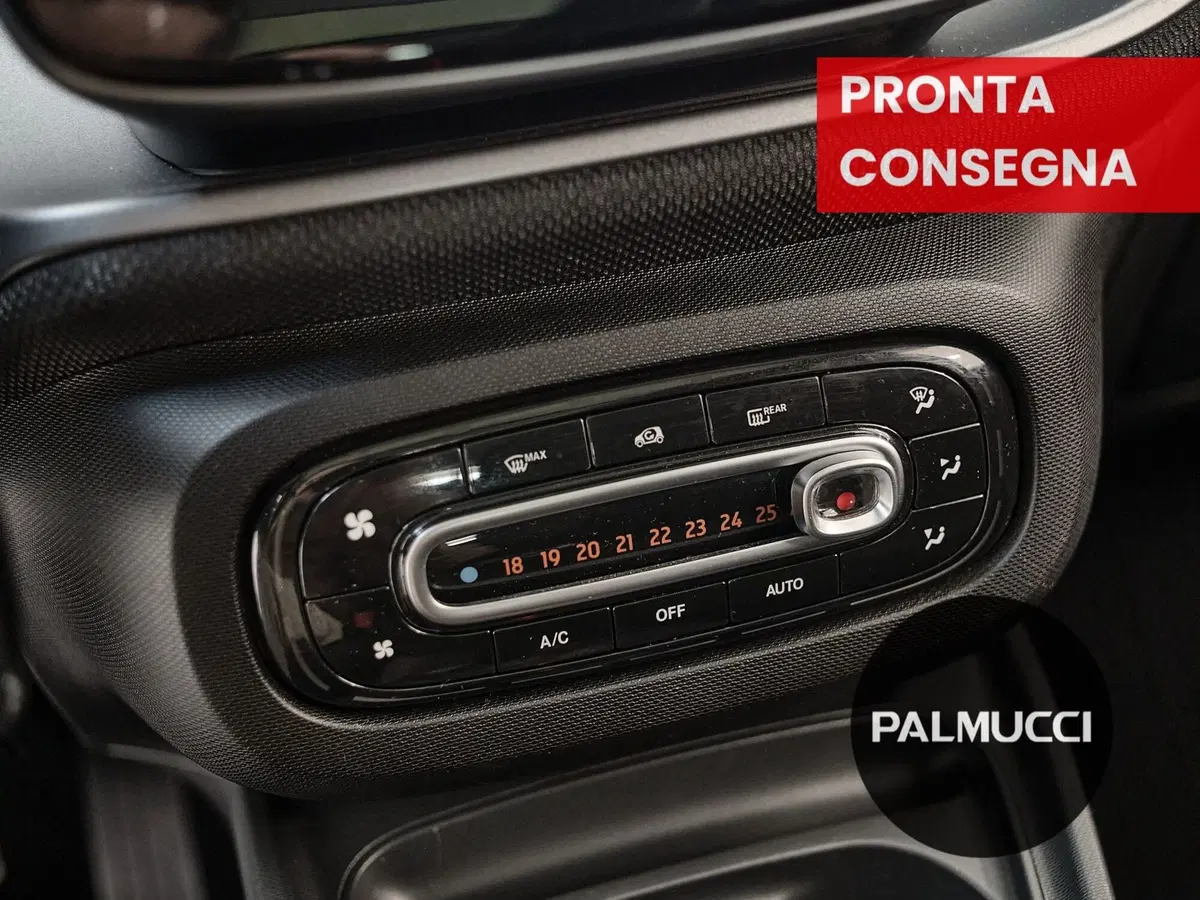 smart forfour usata a Prato (16)