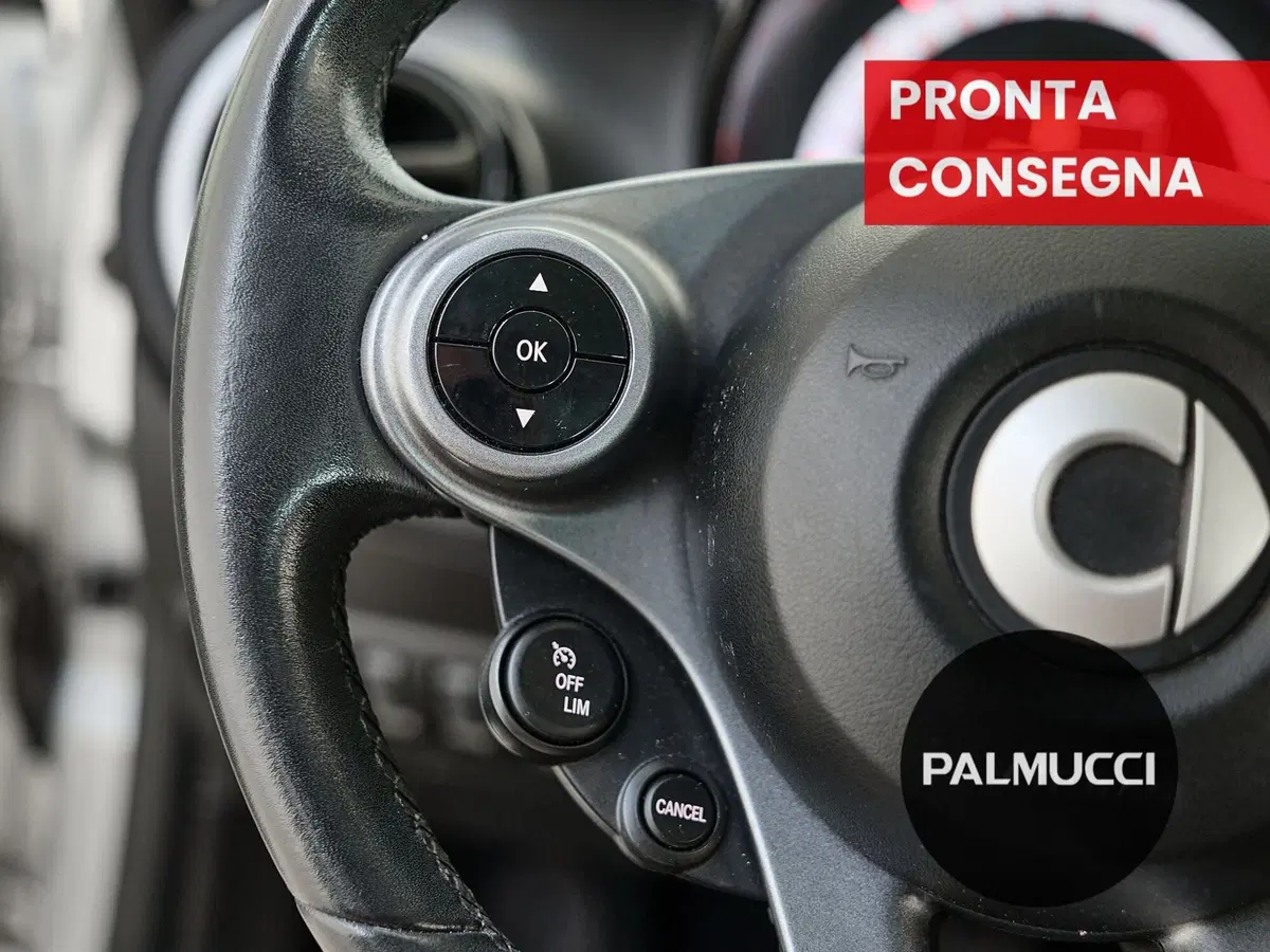 smart forfour usata a Prato (19)