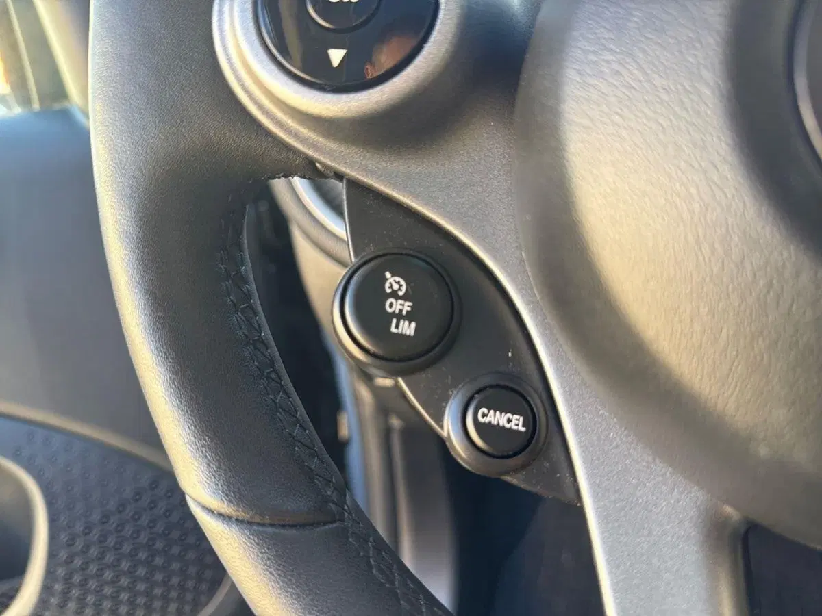 smart Fortwo usata a Firenze (18)