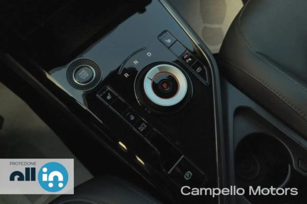 Kia Niro usata a Venezia (14)