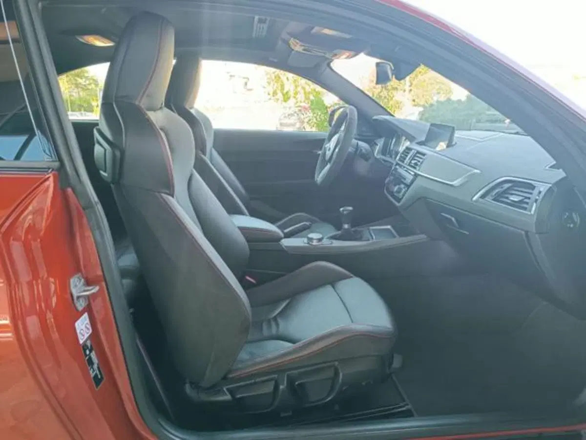 BMW Serie 2 Coupé usata a Pisa (12)
