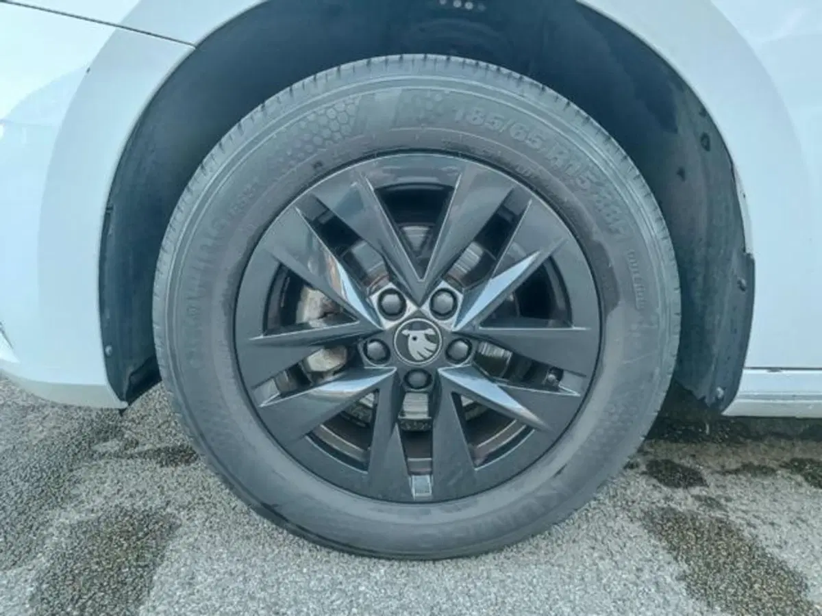 Skoda Fabia usata a Pisa (15)