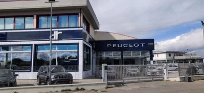 Auto P. S.r.l. - Empoli