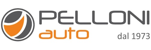 Pelloni Auto S.p.A. - Tiger Modena