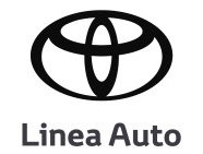 Linea Auto S.r.l. - Piacenza